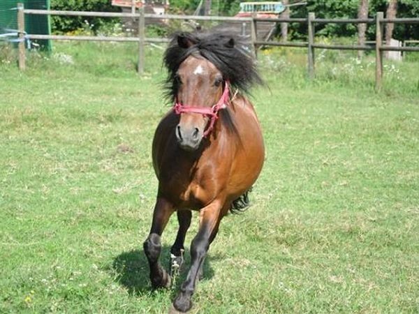 Parco Campofelice - foto 12580.jpg