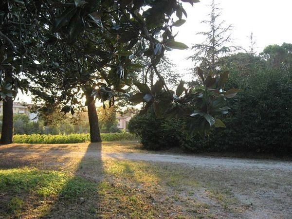 Il Frantoio - foto 13273.jpg