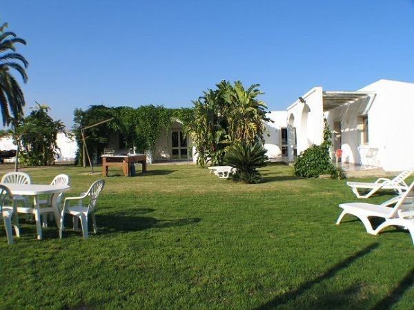 Cuore di palme - foto 13419.jpg