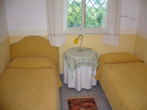 Cuore di palme - foto 13422.jpg