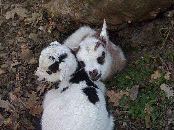 Agriturismo Terra Antica - foto 13477.jpg