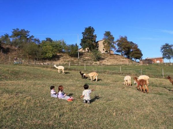 Agriturismo Maridiana Alpaca - foto 13618.jpg