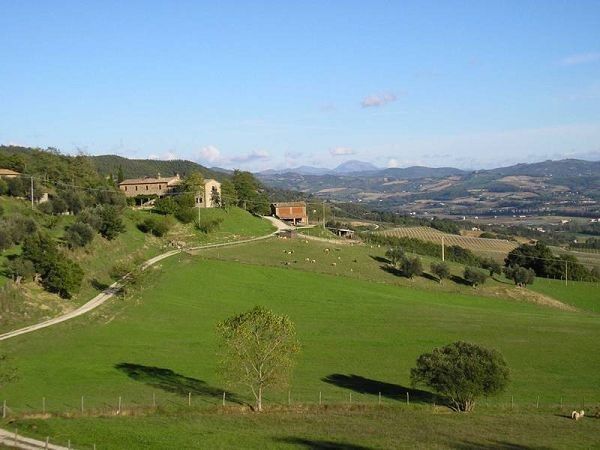 Agriturismo Maridiana Alpaca - foto 13623.jpg