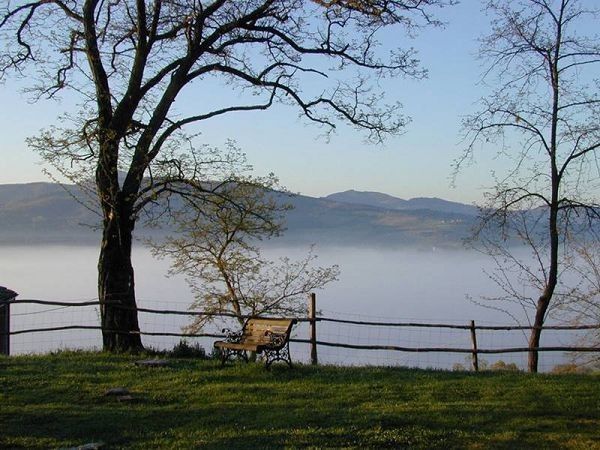 Agriturismo Maridiana Alpaca - foto 13628.jpg