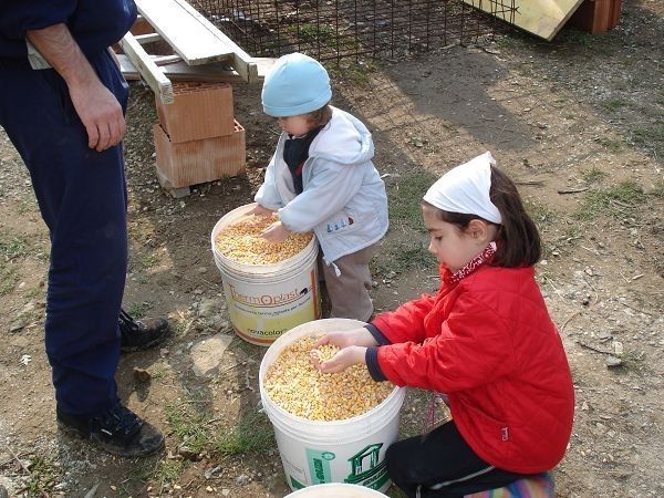 Rifugio del Lupo - foto 13715.jpg