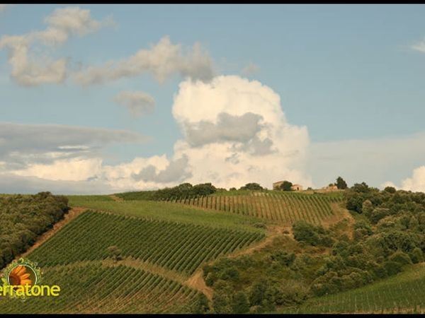 Agriturismo Serratone - foto 13772.jpg