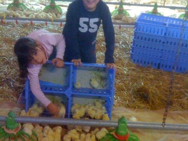 Soc.Agr. F.lli Angelucci - foto 13947.jpg