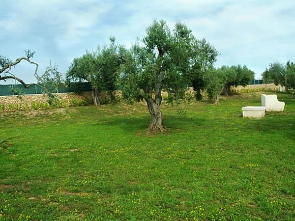 Un Posto al Sole - foto 13972.jpg