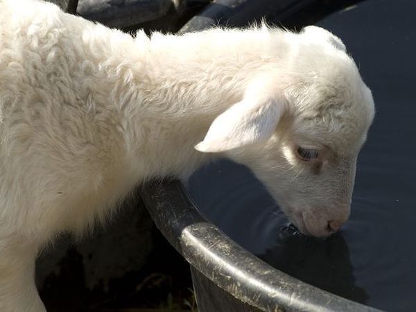 Tenuta Serpepe - foto 14190.jpg