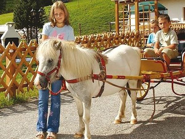 Landhaus Rainer - foto 14209.jpg