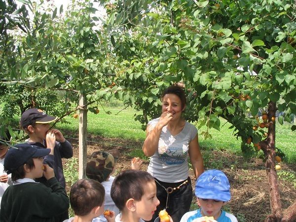 La fattoria di Valentino - foto 14273.jpg