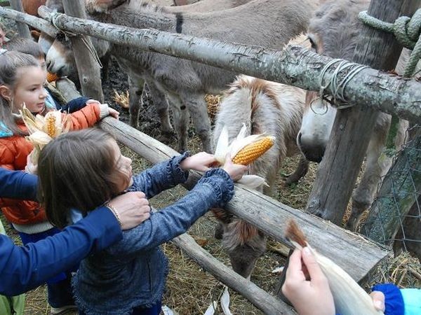 La Canestra - foto 14839.jpg