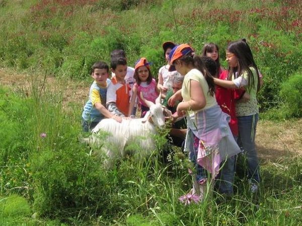 Azienda Agricola ´´Terre di Vasia´´ - foto 14906.jpg