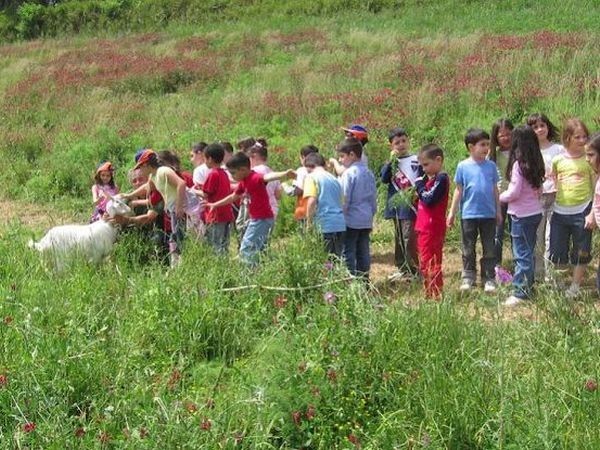 Azienda Agricola ´´Terre di Vasia´´ - foto 14907.jpg