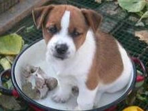 Agriturismo La Pace - foto 15327.jpg