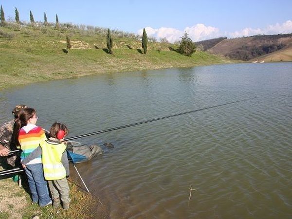 Fattoria Voltrona - foto 15412.jpg