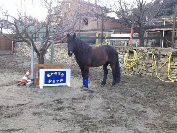 Residence Villa Alda - foto 15752.jpg