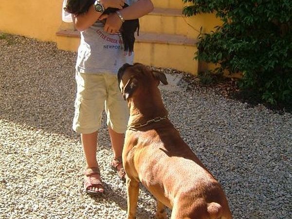 Agriturismo Podere Il Poggiolo - foto 15797.jpg