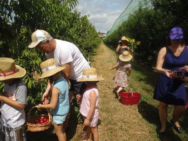 Agriturismo Villa Cru - foto 15830.jpg