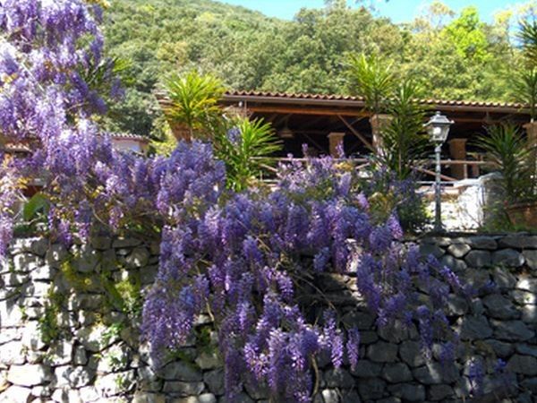 La Francesca Scario Residence - foto 15903.jpg