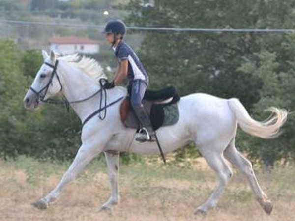 Agriturismo Borgo Podernovo - foto 15932.jpg