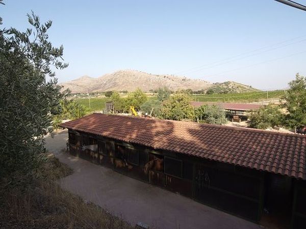 Agriturismo Al Poggetto - foto 16026.jpg