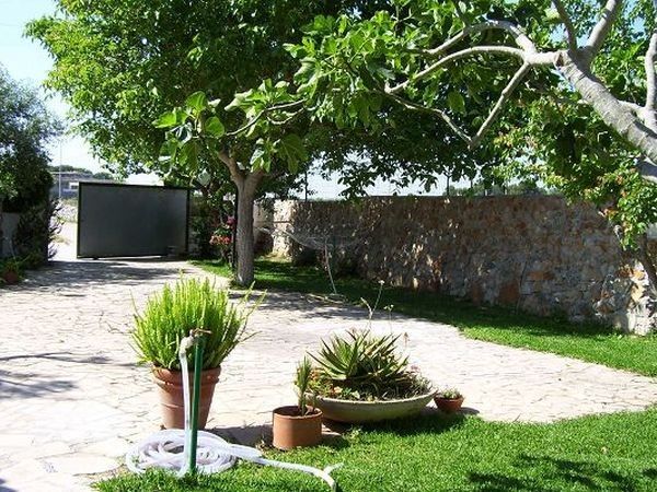 Murica - foto 16097.jpg