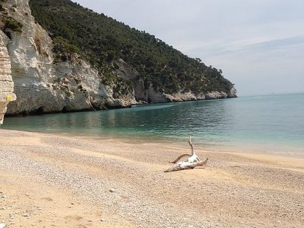 Case Vacanze L´Uliveto - foto 16149.jpg