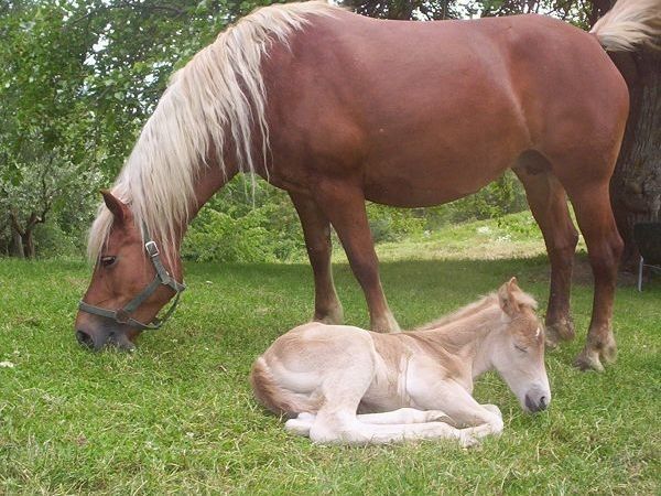 Agriturismo la Conca - foto 3706.jpg
