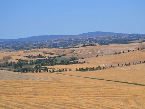 Casa Vacanze Santa Caterina - foto 16240.jpg