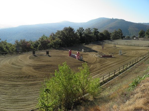 Circolo Ippico San Pietro - foto 16460.jpg