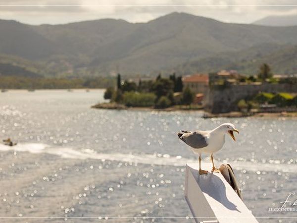 Residence il Mandorlo RTA - foto 16555.jpg