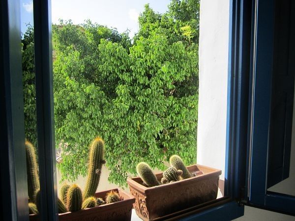 Casa Sarda Orosei - foto 16572.jpg