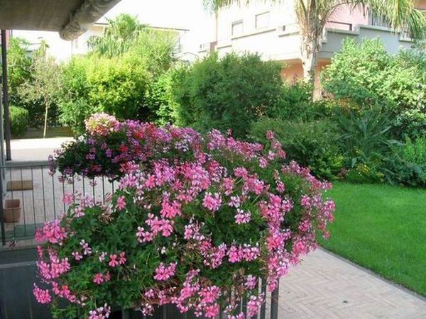 VILLE FROIO - foto 16643.jpg