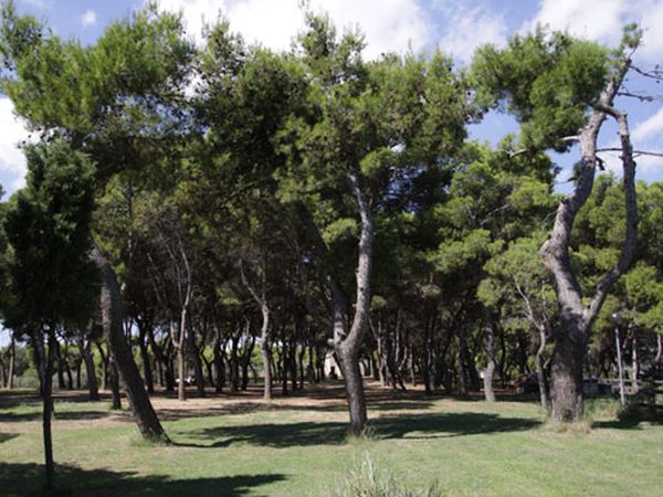Camping Centro Turistico Belvedere - foto 16690.jpg