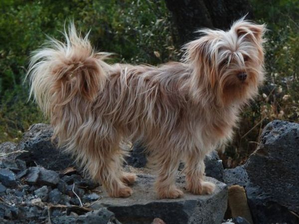 Ecoparco Neulè - foto 16749.jpg