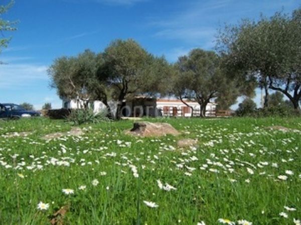 Ecoparco Neulè - foto 16750.jpg