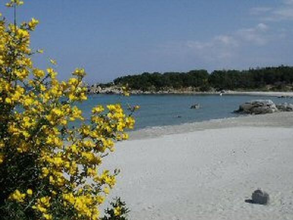 Casa Vacanze Tortolì - foto 17048.jpg