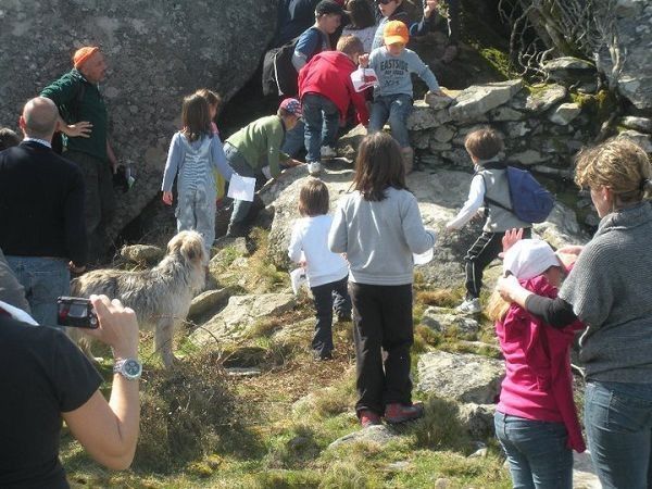 Residence il Mandorlo RTA - foto 17179.jpg