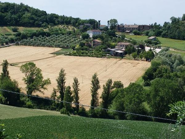 AGRITURISMO IL RUSTICO - foto 17292.jpg