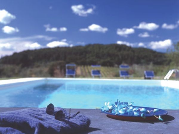 Az. Agr. Podere Castellare - foto 17357.jpg