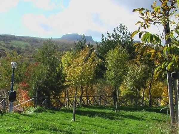 Campeggio Paradiso - foto 17547.jpg