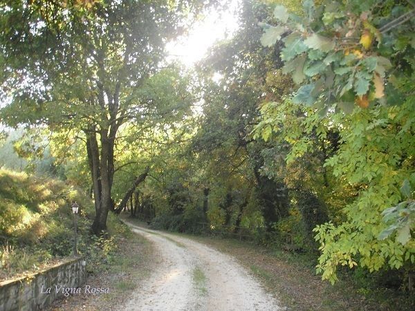 La Vigna Rossa - foto 17845.jpg