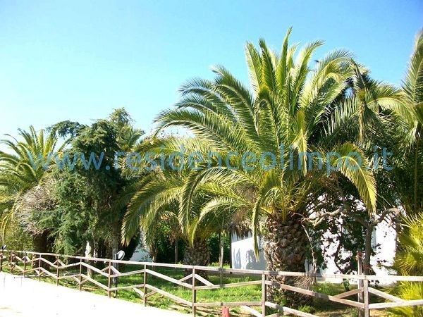 Residence Olimpo - foto 17975.jpg