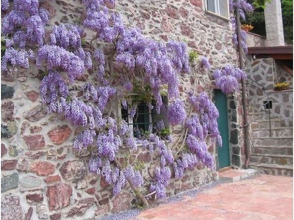 Le Sorgenti del Gromolo - foto 18002.jpg