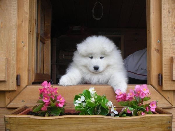 Garni Villa Lory - foto 18035.jpg