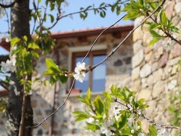 Azienda Agrituristica Risveglio Naturale - foto 18179.jpg