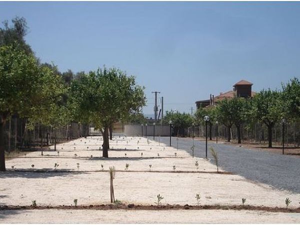 Oasi park falconara - foto 18296.jpg