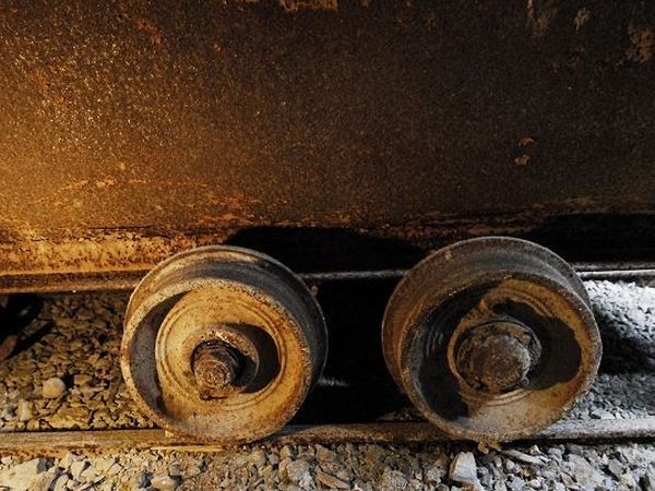 Consorzio Terre di Toscana - foto 18394.jpg