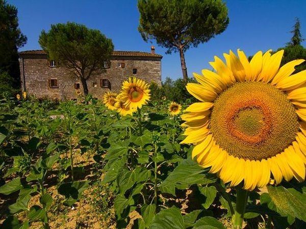 Agriturismo Il Molinello - foto 18601.jpg